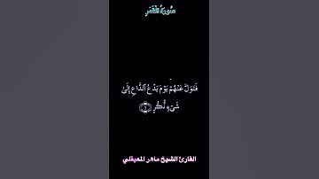 تلاوة عطرة من سورة القمر بصوت الشيخ ماهر المعيقلي