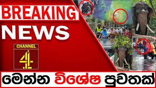 BREAKING NEWS|Channel 4