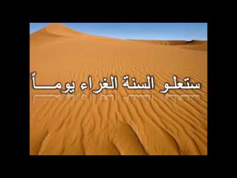 قصيدة قوية بعنوان ستعلو السنة الغراء يوما وإن رغمت أنوف الحاقدين