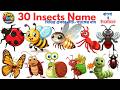 Insects Name in Bangla & English | Learn 30 Insects Name Easily 🐜 | Kids learning video