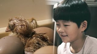 동물을 통해 새 생명을 배우는 아이들 @SBS 일요특선 다큐멘터리 20160731