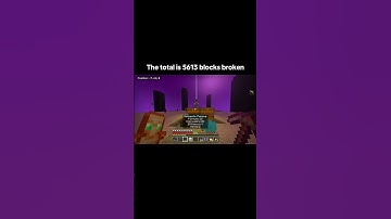 Day 139. #end #minecraft