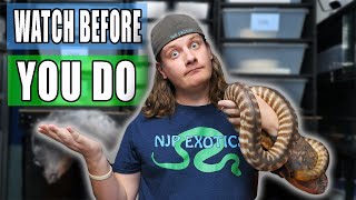 Should YOU Breed Reptiles?