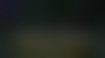 Missing in Action - Skyrim