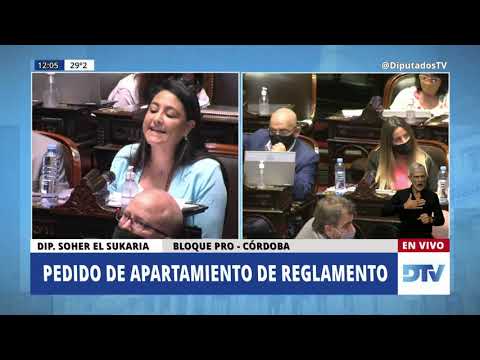 Diputada El Sukaria, Soher - Sesión 29-12-2020 - AR