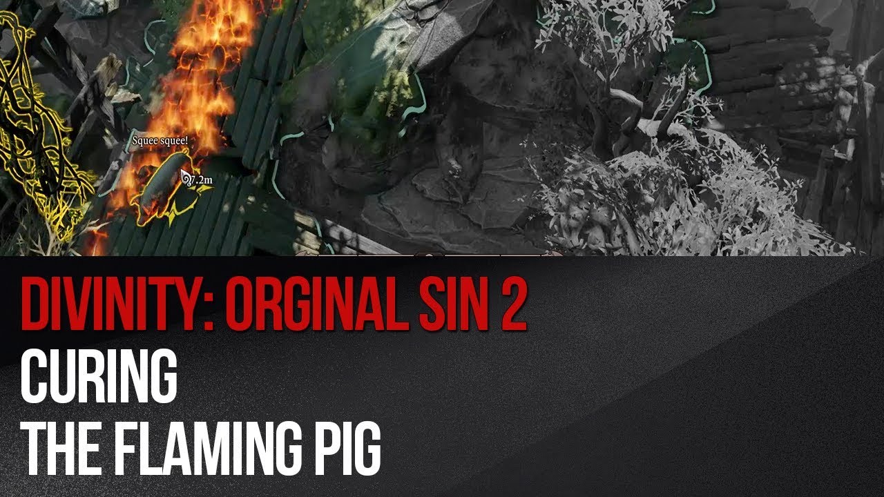 Divinity: Original Sin 2 - Curing the Flaming Pig - YouTube