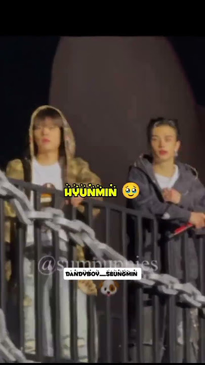 Hyunmin... 🐶🥟#straykids #shorts #edit #seungmin #hyunjin #seungjin #hyunmin