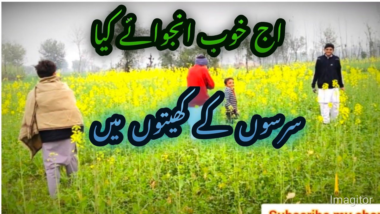 اج خوب انجوائے کیا سرسوں کے کھیتوں میں#villagelife #village #lalapindwala #vlog 