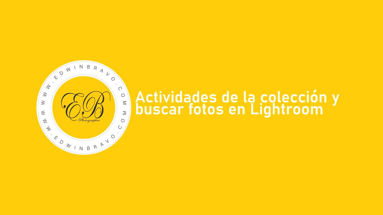 46- Actividades de la colección y buscar fotos en Lightroom | Pixieset 2024