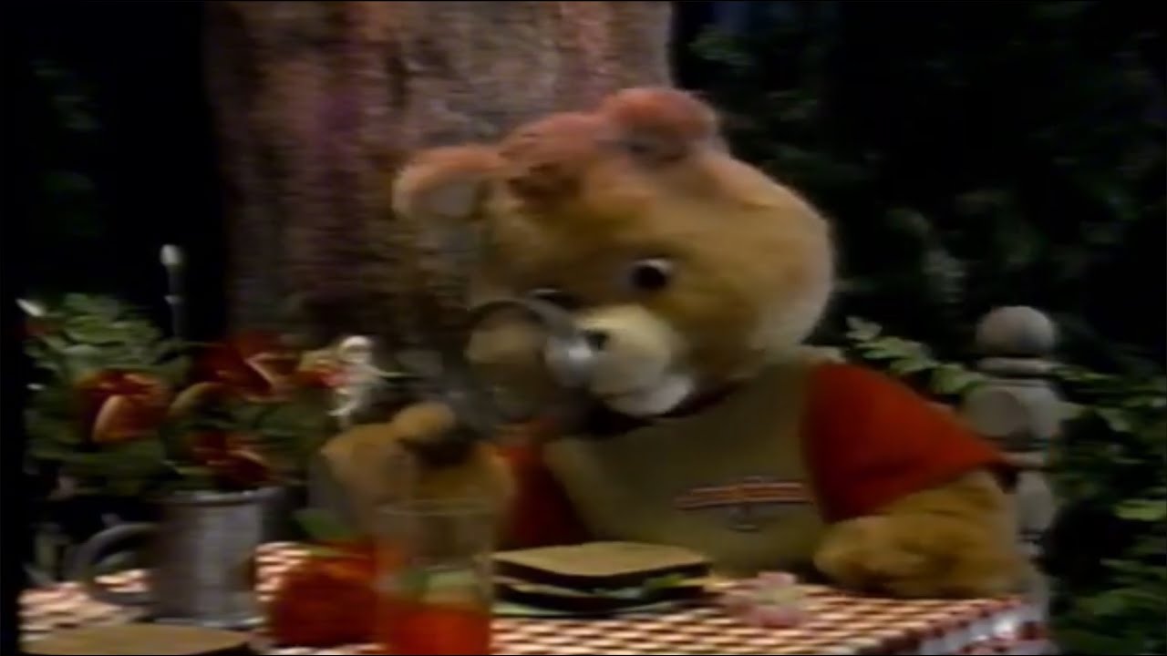 Teddy Ruxpin: Take A Good Look (live action segments)