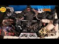 New Colossal Box GODZILLA VS KONG Toys King Kong Toys Skull Island
