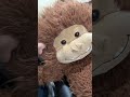 #memes #funny #comedy “how you doin?”
