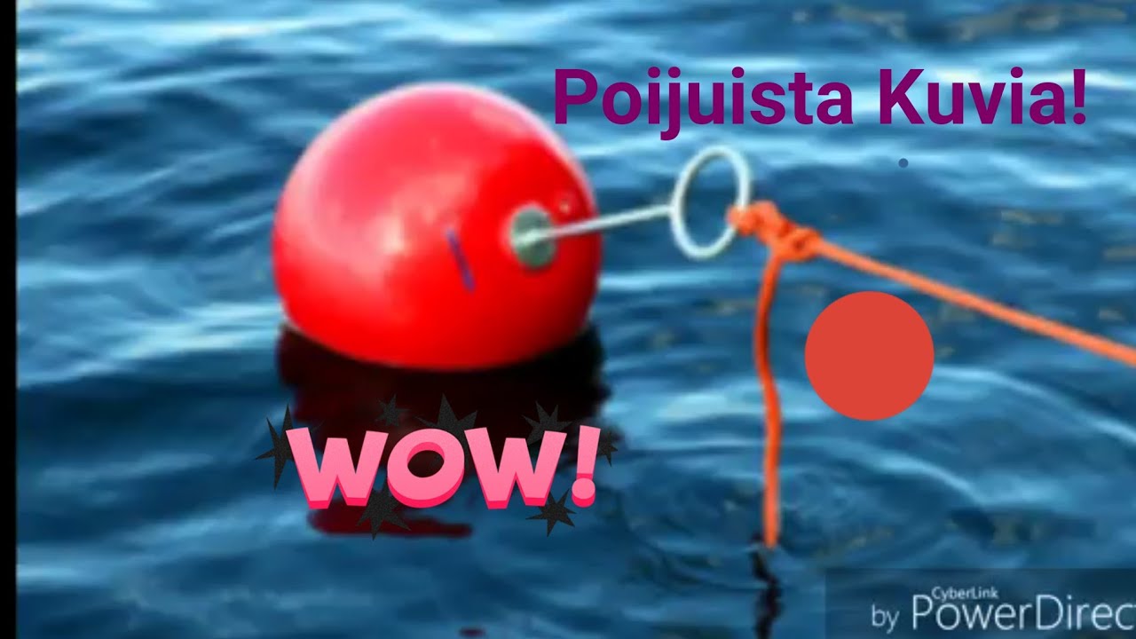 Poijjusta Kuvia.
