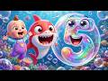 Little Shark Bubble Hide & Seek | Funny Ocean Game Song for Kids | Best Baby Shark Activity Rhymes 🦈