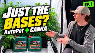 AutoPot + CANNA: Zurück zu den Grundlagen | Folge 1
