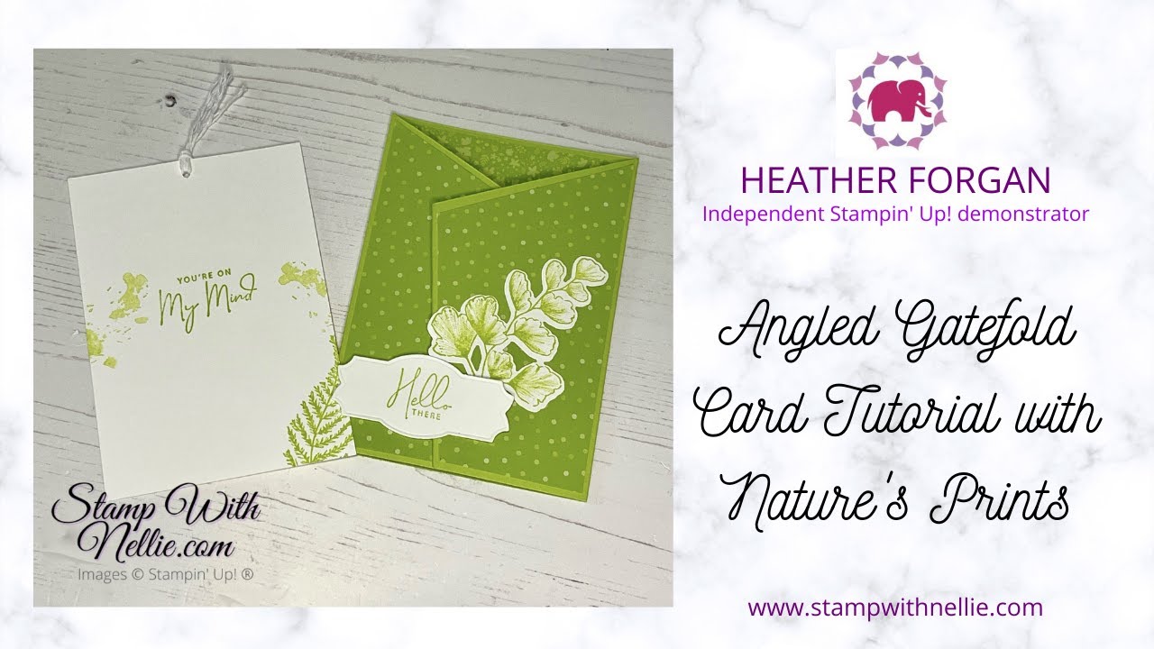 How to make an Angled Gatefold pocket card with Nature's Prints and new In Color Parakeet Party