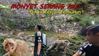 KENA SERANG MONYET DI AIR TERJUN TEMURUN PULAU LANGKAWI !