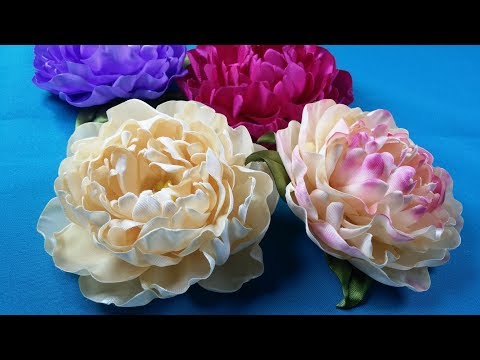 Video: Peony Satu Kelopak