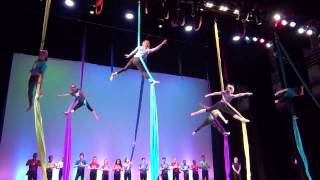 Starfish Circus