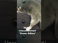 #cat#beginner#catvideos#viralvideo#trending#tryhard#pets l#catshorts