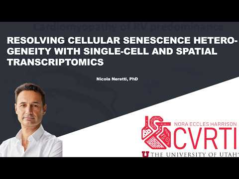 Resolving Cellular Senescence Heterogeneity with Single-Cell and Spatial Transcriptomics