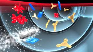 Kibow Pharma - Platform Technology and USFDA Approved Clinical Trails