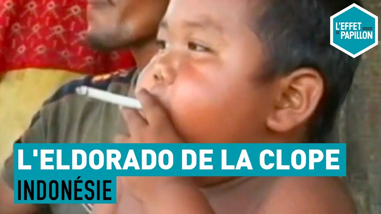 Indonesie L Eldorado De La Clope L Effet Papillon Youtube