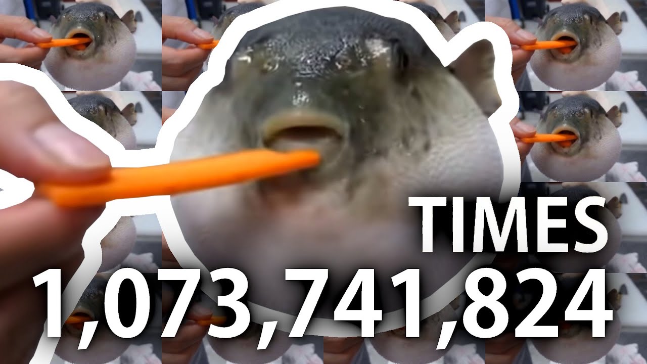 PUFFERFISH EATING CARROT 1,073,741,824 times YouTube