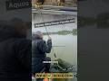 Дръжка за кеп - MATRIX Aquos Ultra Power Handle 4m #mftackle #fishing #fishmatrix #feederfishing
