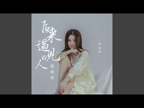 后来遇见的人很像你