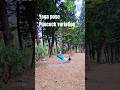 Yoga pose || peacock variation #peacock #corestrength #yogaposes #armstrength #backbends