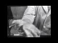1950s vintage chicken antibiotics videos