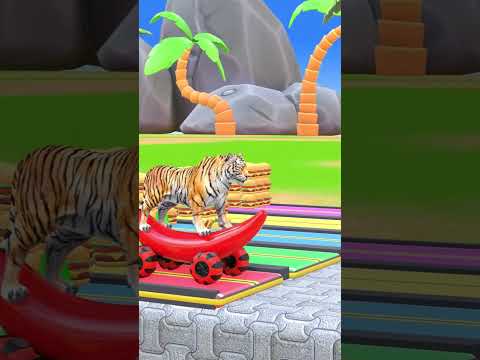 Long Slide Game With Elephant Gorilla Buffalo Hippopotamus Tiger #shorts