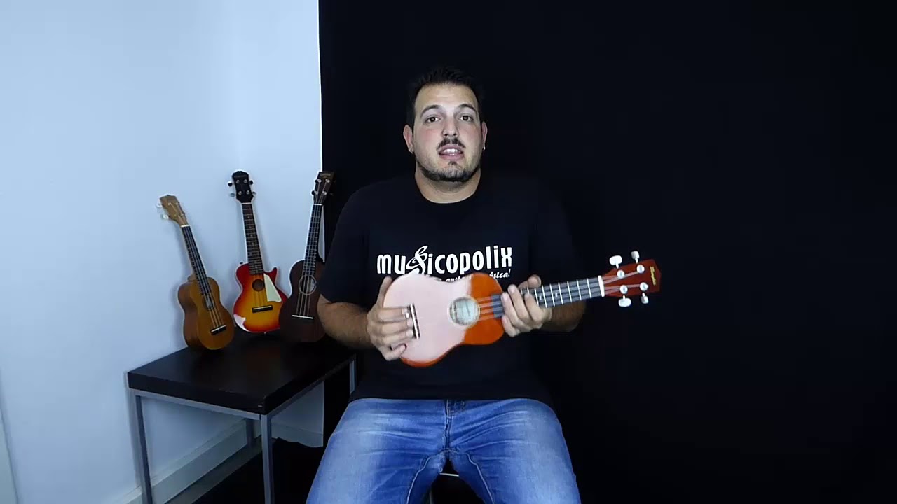 ᐅ Comprar los MEJORES Ukeleles | Comparativa y Opiniones 2022