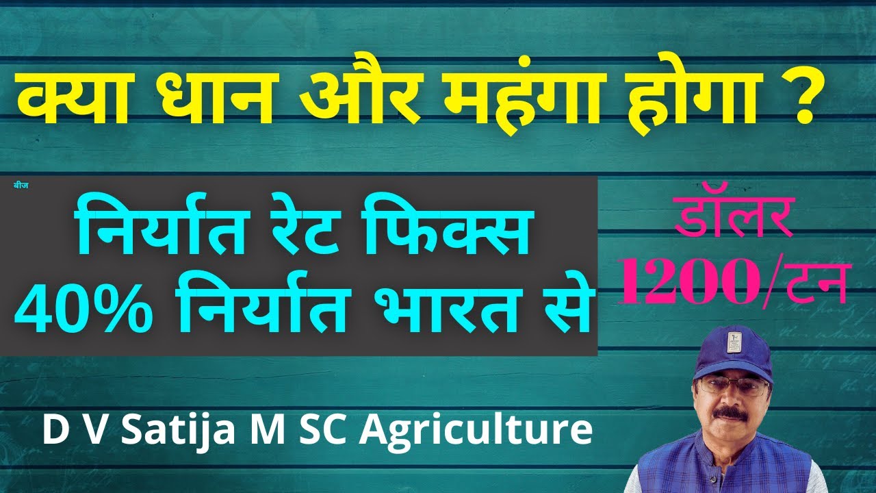 Kya Dhan Rate Jyada Hoga Rice Export News Rice Export Ban YouTube kya-dhan-rate-jyada-hoga-rice-export-news-rice-export-ban-youtube