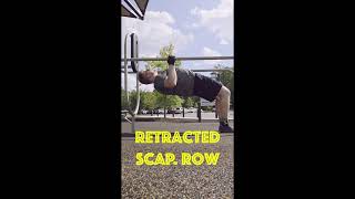 Retracted Scapula Rows | Build Back Strength & Fix Your Posture #back #calisthenics #pullups #pull