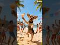 Ozzy na praia #praia #cachorro