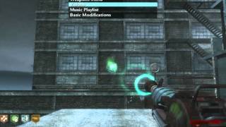 cod waw Physics n Flex v2 pc