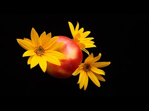Лечебная музыка Моцарта 🌺 Активизирует Жизненный Тонус. Улучшает Слух и Память.