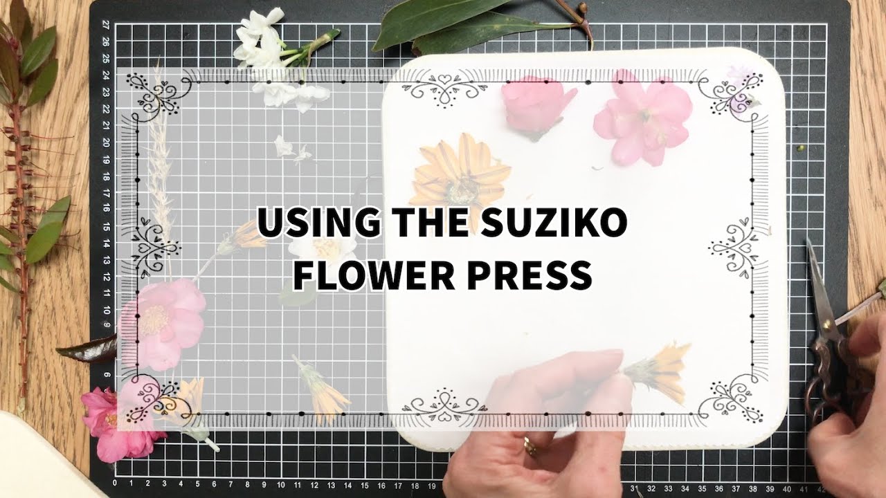 USING THE SUZIKO MICROWAVE FLOWER PRESS