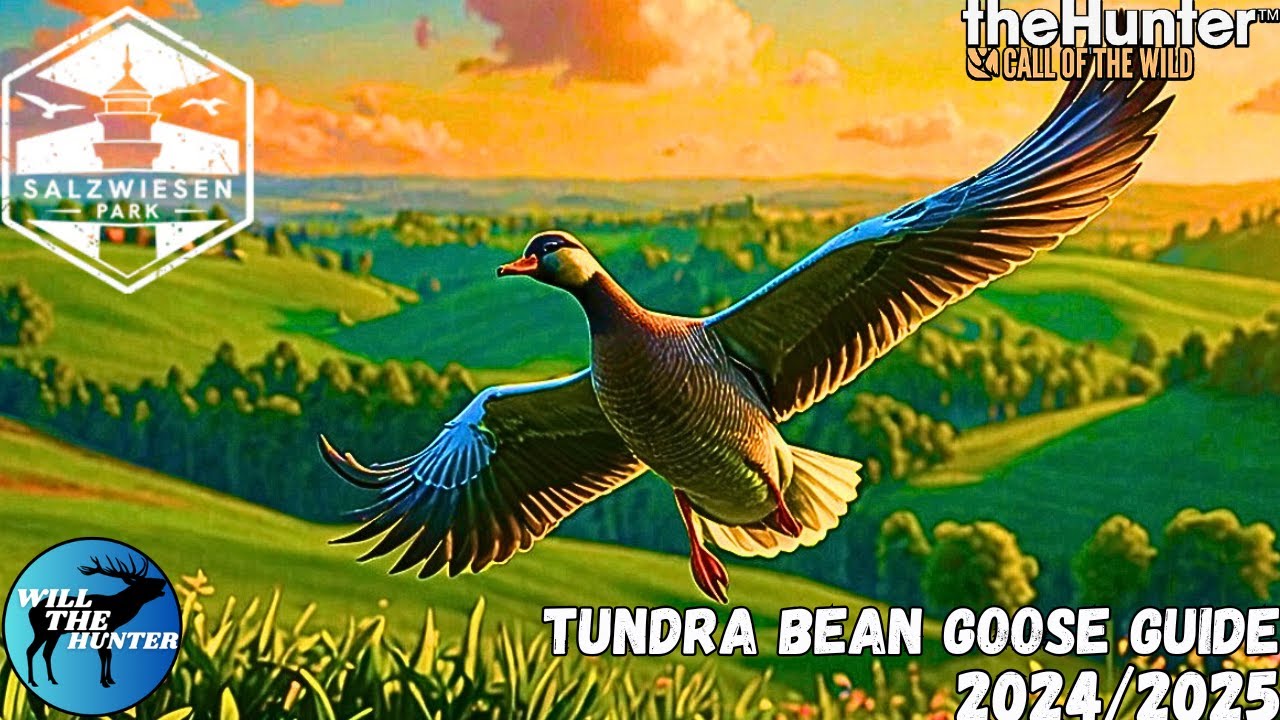 Salzwiesen Park Tundra Bean Goose Guide | TheHunter Call Of The Wild 24/25