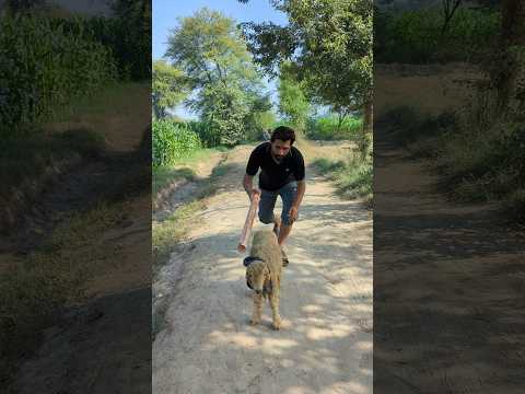 Nag Na Memay Ke Garden Ko Walaka 