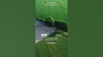 سورة المطففين بصوت ابراهيم العمري