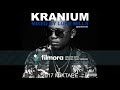 DJ LUKE MILLS - KRANIUM 2017 MIXTAPE