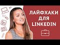 Лайфхаки для LinkedIn: как не платить за LinkedIn Premium