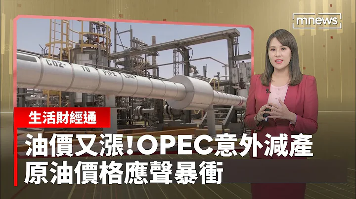 油价又涨！OPEC意外减产　原油价格应声暴冲｜生活财经通 #镜新闻 - 天天要闻