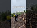 Guy on a mission to plant loads of trees 😲🌳           🎥: Instagram / antomosplant