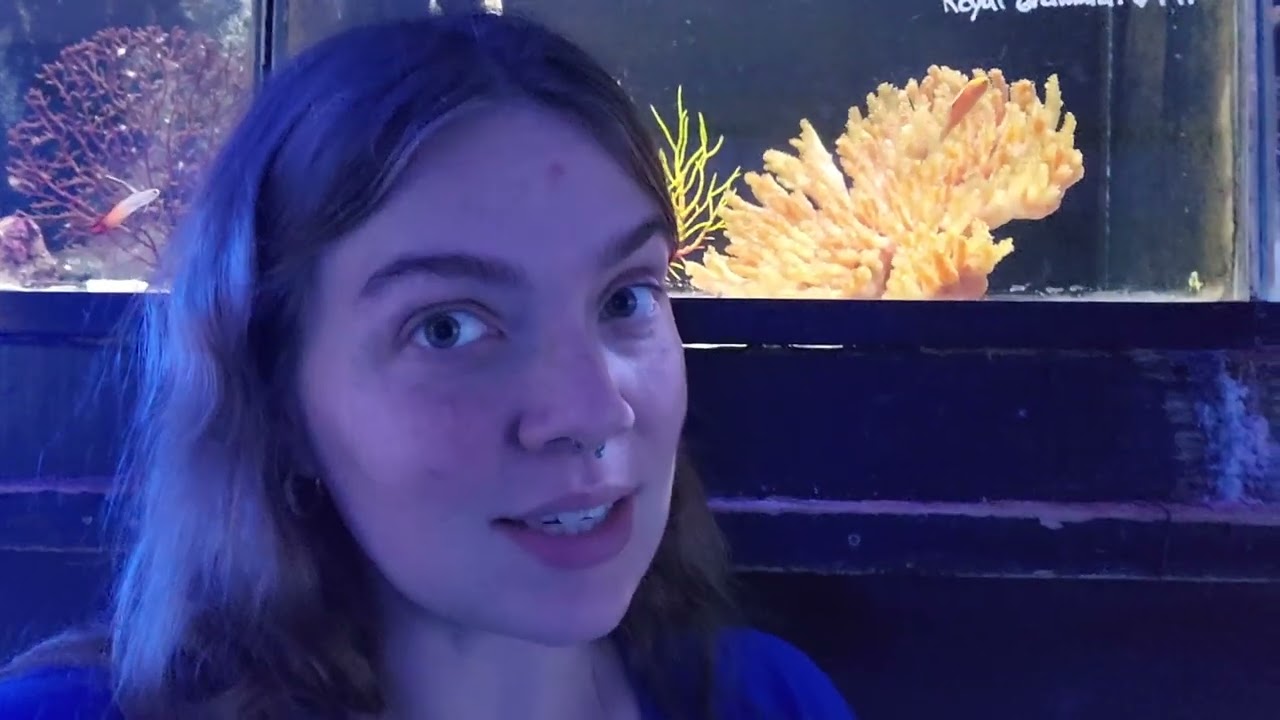 Новый продукт?!? Сейчас только дождь идёт!!! | Еженедельное обновление