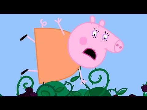 Peppa Pig Português Brasil | O ARBUSTO DE AMORA! ⭐️ Compilação de 2019 ⭐️ Peppa Pig