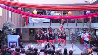 Warwick Devils: OWW Performance